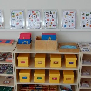 Montessori Okur Yazarlık