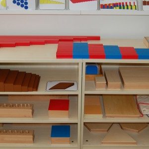 Montessori Duyu